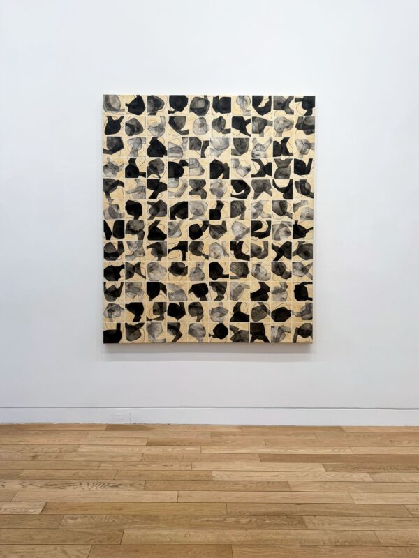 fernando-varela-upsylon-2024-enlazando-mundos-1