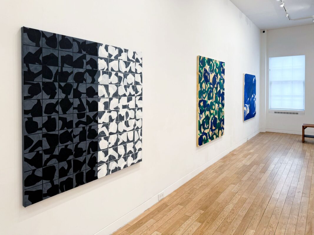 fernando-varela-upsylon-2024-enlazando-mundos-18