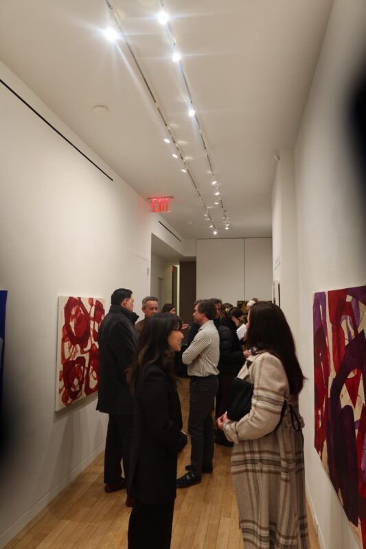 fernando-varela-upsylon-2024-enlazando-mundos-8