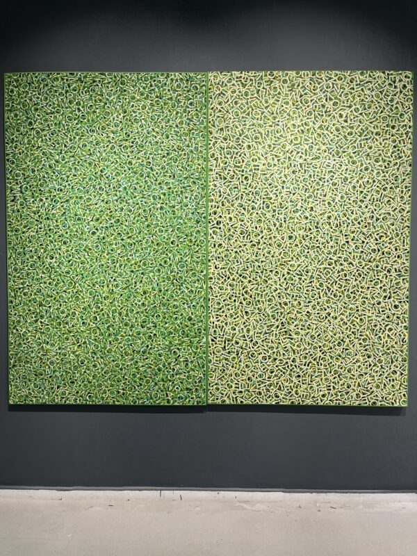 fernando-varela-facci-2024-enlazando-mundos-12