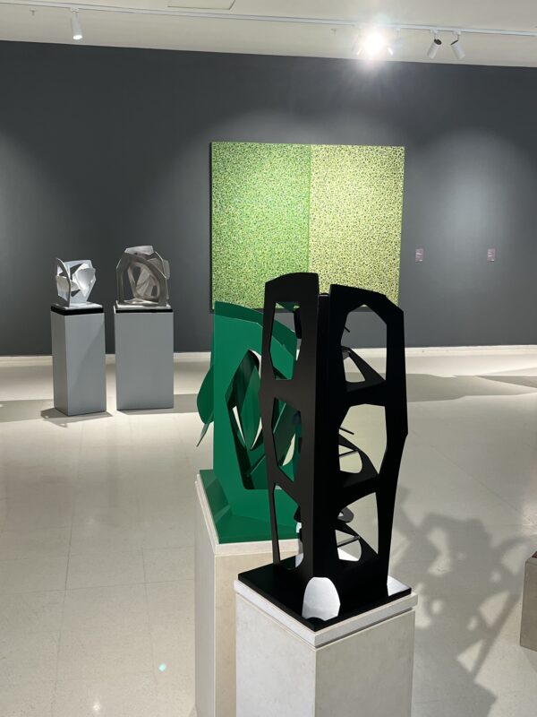 fernando-varela-facci-2024-enlazando-mundos-17