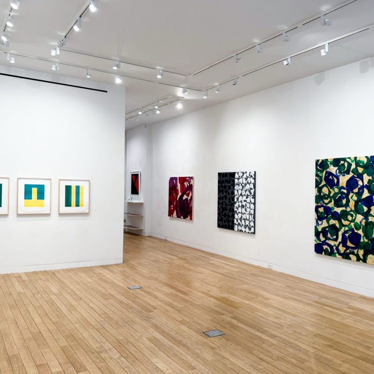 fernando-varela-upsylon-2024-enlazando-mundos-22